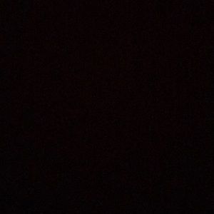 Meet your Posher, Dustin